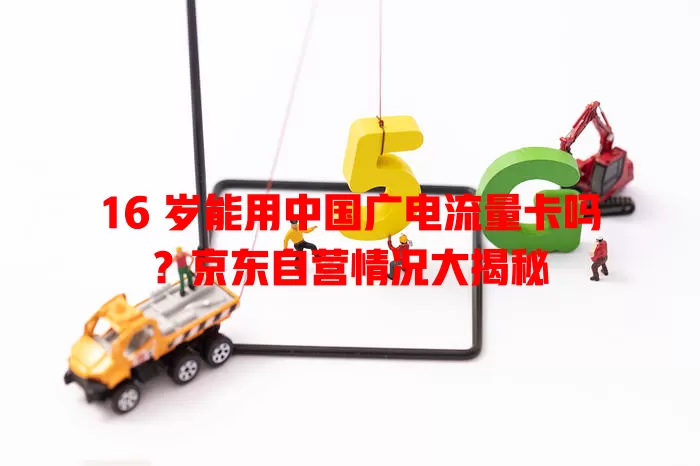 16 岁能用中国广电流量卡吗？京东自营情况大揭秘