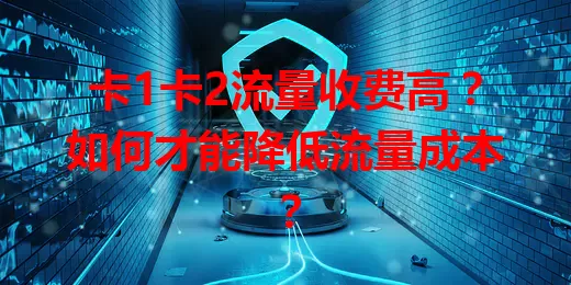 卡1卡2流量收费高？如何才能降低流量成本？