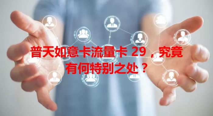 普天如意卡流量卡 29，究竟有何特别之处？