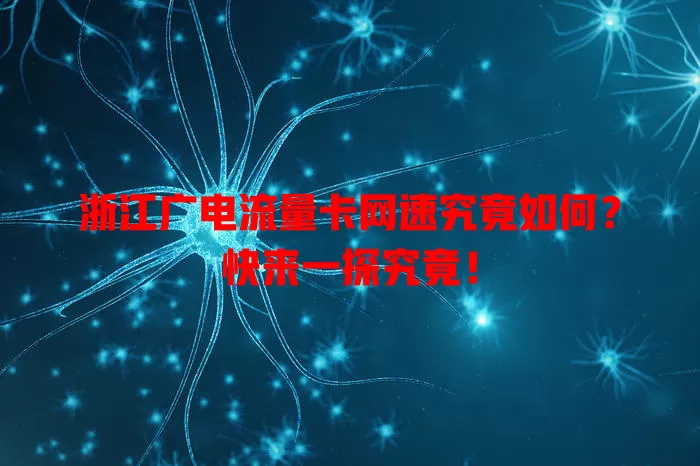 浙江广电流量卡网速究竟如何？快来一探究竟！