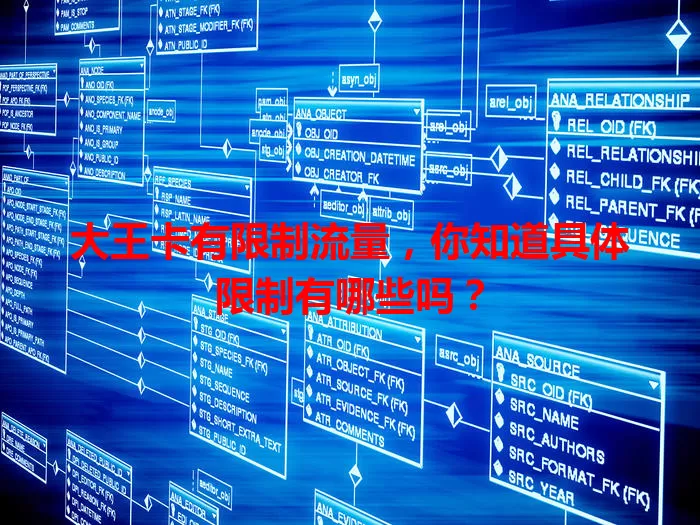 大王卡有限制流量，你知道具体限制有哪些吗？