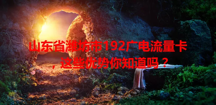 山东省潍坊市192广电流量卡，这些优势你知道吗？