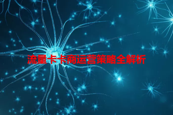 流量卡卡商运营策略全解析