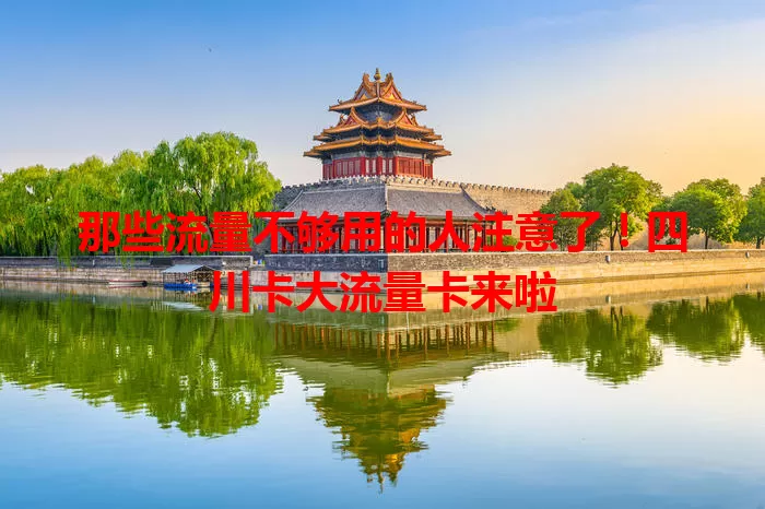 那些流量不够用的人注意了！四川卡大流量卡来啦