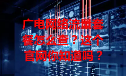 广电网络流量套餐怎么查？这个官网你知道吗？