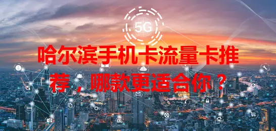 哈尔滨手机卡流量卡推荐，哪款更适合你？
