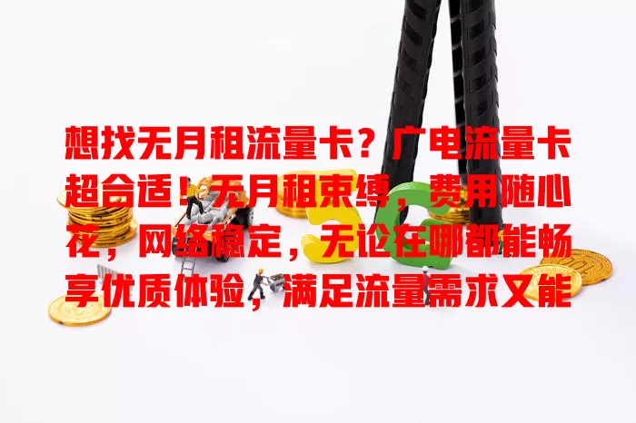 想找无月租流量卡？广电流量卡超合适！无月租束缚，费用随心花，网络稳定，无论在哪都能畅享优质体验，满足流量需求又能控成本