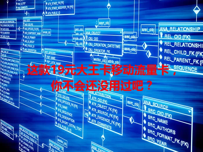 这款19元大王卡移动流量卡，你不会还没用过吧？