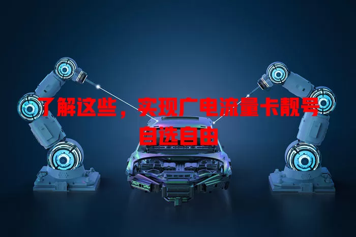 了解这些，实现广电流量卡靓号自选自由