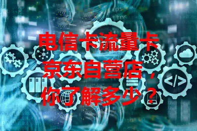 电信卡流量卡京东自营店，你了解多少？