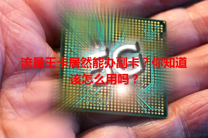 流量王卡居然能办副卡？你知道该怎么用吗？