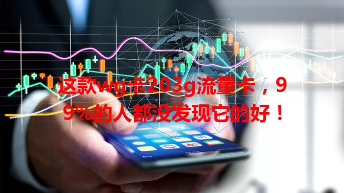 这款wg卡203g流量卡，99%的人都没发现它的好！