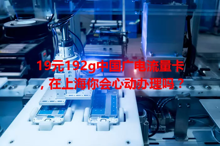 19元192g中国广电流量卡，在上海你会心动办理吗？