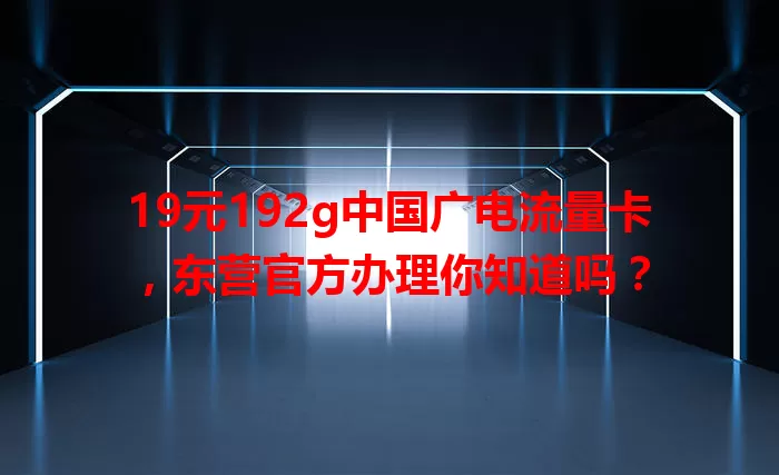 19元192g中国广电流量卡，东营官方办理你知道吗？