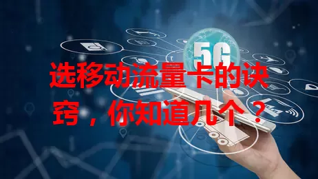 选移动流量卡的诀窍，你知道几个？