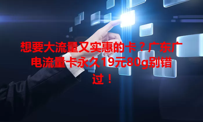 想要大流量又实惠的卡？广东广电流量卡永久19元80g别错过！