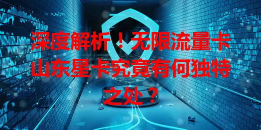 深度解析！无限流量卡山东星卡究竟有何独特之处？