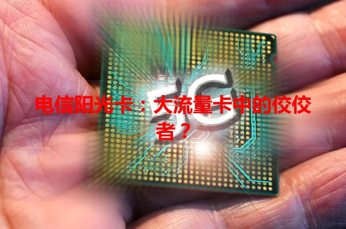 电信阳光卡：大流量卡中的佼佼者？