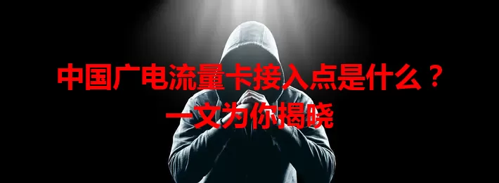 中国广电流量卡接入点是什么？一文为你揭晓