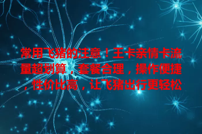 常用飞猪的注意！王卡亲情卡流量超划算，套餐合理，操作便捷，性价比高，让飞猪出行更轻松