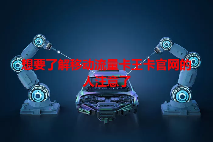 想要了解移动流量卡王卡官网的人注意了