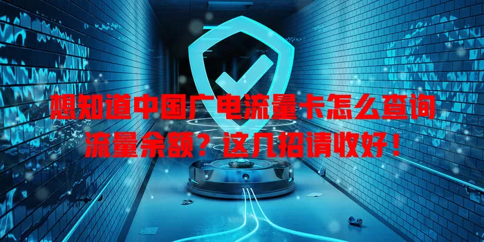 想知道中国广电流量卡怎么查询流量余额？这几招请收好！