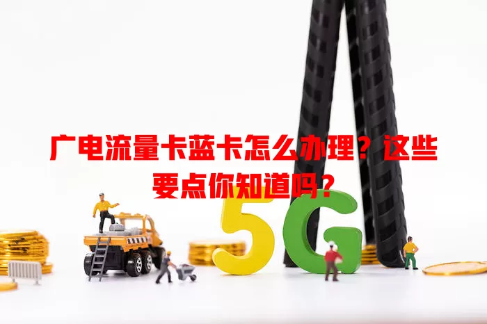 广电流量卡蓝卡怎么办理？这些要点你知道吗？
