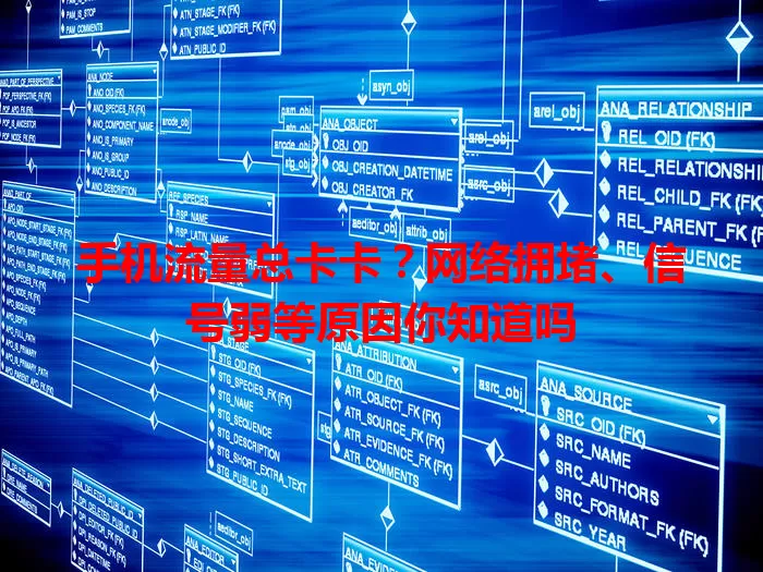 手机流量总卡卡？网络拥堵、信号弱等原因你知道吗