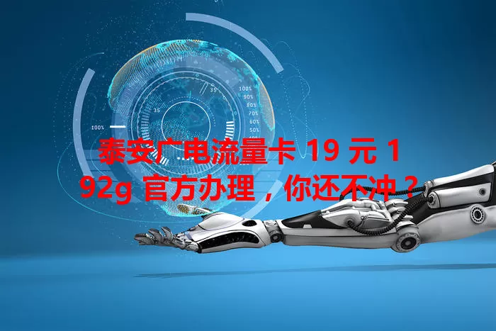 泰安广电流量卡 19 元 192g 官方办理，你还不冲？