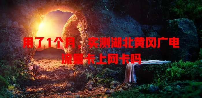 用了1个月，实测湖北黄冈广电流量卡上网卡吗