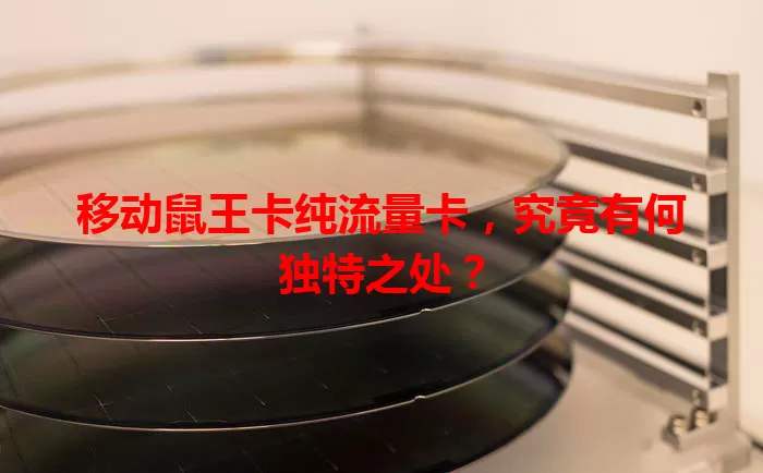 移动鼠王卡纯流量卡，究竟有何独特之处？