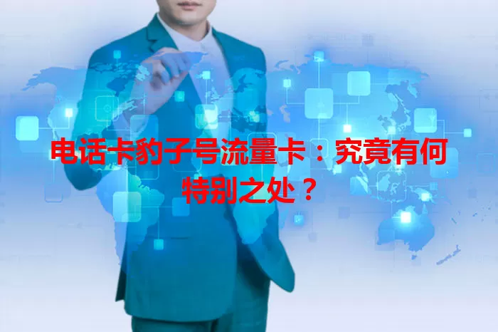 电话卡豹子号流量卡：究竟有何特别之处？