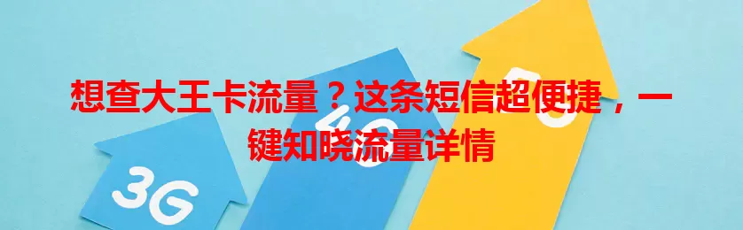 想查大王卡流量？这条短信超便捷，一键知晓流量详情