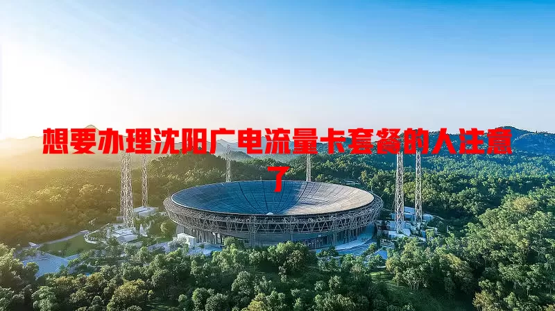 想要办理沈阳广电流量卡套餐的人注意了