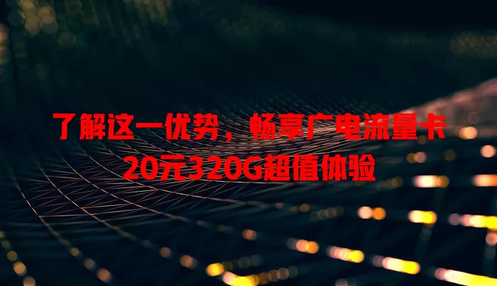 了解这一优势，畅享广电流量卡20元320G超值体验