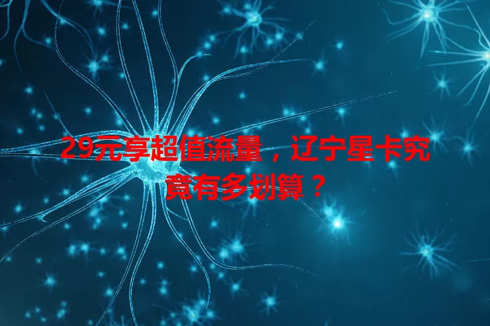 29元享超值流量，辽宁星卡究竟有多划算？