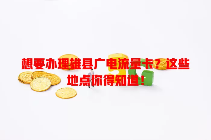 想要办理雄县广电流量卡？这些地点你得知道！