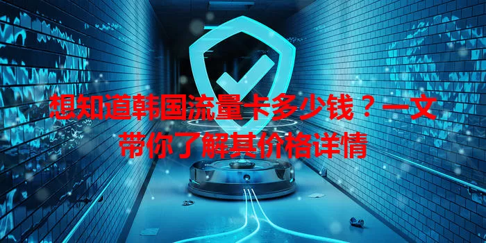 想知道韩国流量卡多少钱？一文带你了解其价格详情