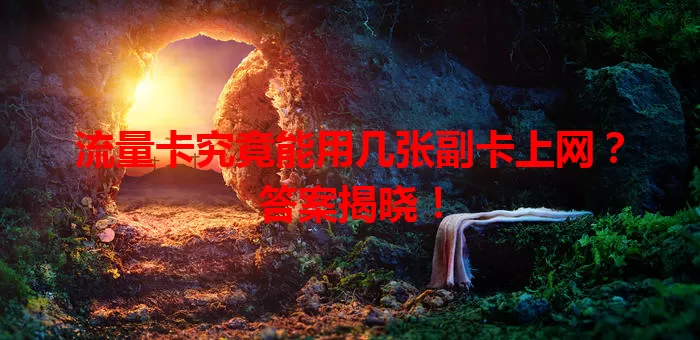 流量卡究竟能用几张副卡上网？答案揭晓！