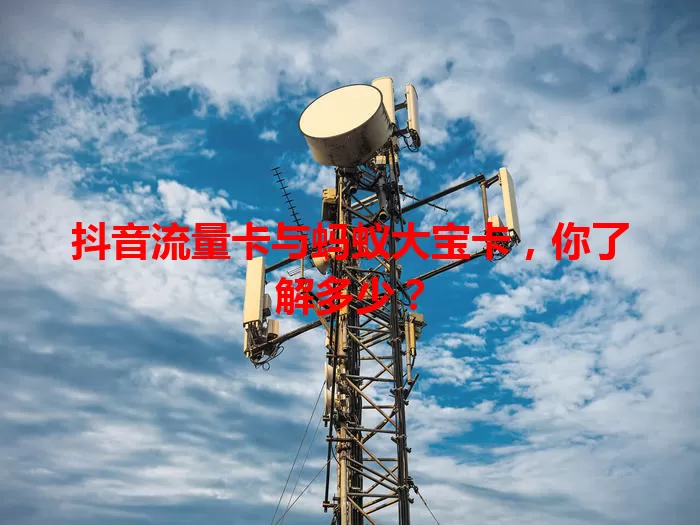 抖音流量卡与蚂蚁大宝卡，你了解多少？
