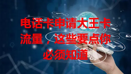 电话卡申请大王卡流量，这些要点你必须知道