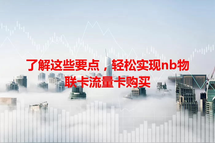了解这些要点，轻松实现nb物联卡流量卡购买