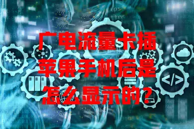 广电流量卡插苹果手机后是怎么显示的？