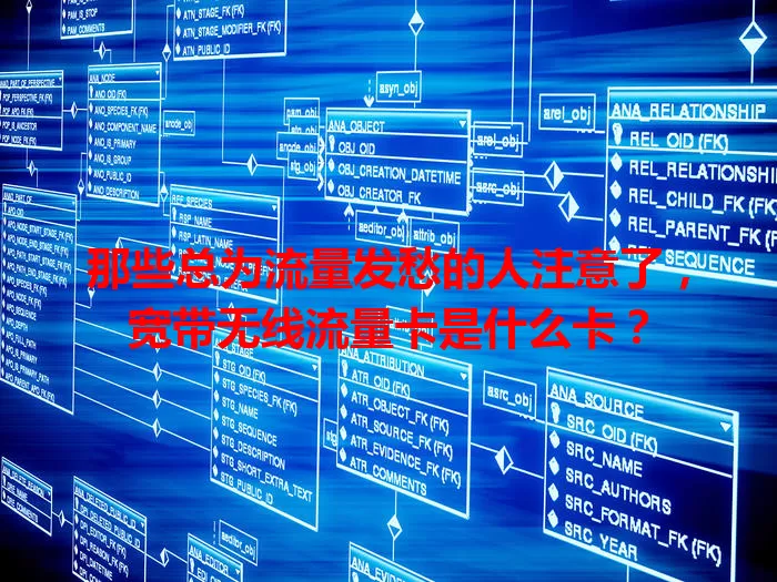 那些总为流量发愁的人注意了，宽带无线流量卡是什么卡？