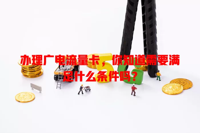 办理广电流量卡，你知道需要满足什么条件吗？