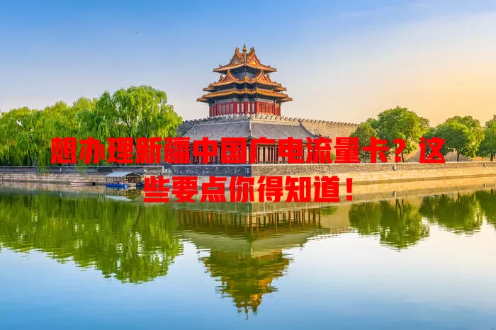 想办理新疆中国广电流量卡？这些要点你得知道！