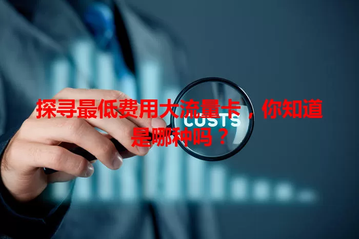 探寻最低费用大流量卡，你知道是哪种吗？