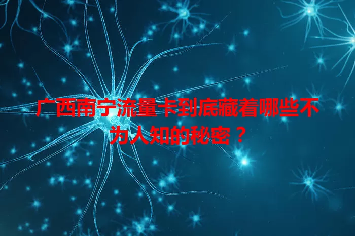 广西南宁流量卡到底藏着哪些不为人知的秘密？