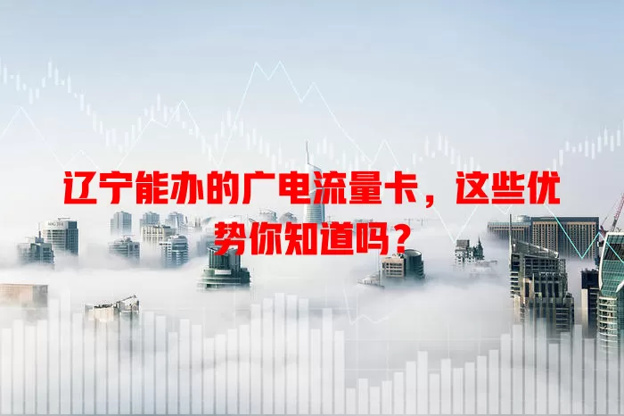 辽宁能办的广电流量卡，这些优势你知道吗？