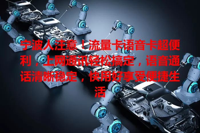宁波人注意！流量卡语音卡超便利，上网通讯轻松搞定，语音通话清晰稳定，快用好享受便捷生活